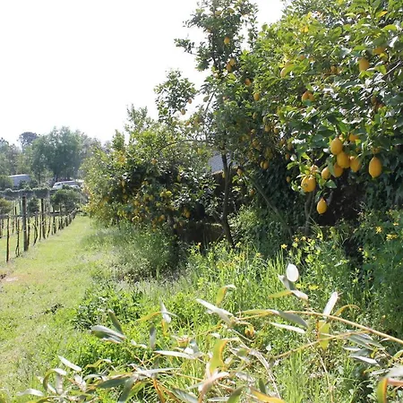 Organic Farm Boucos * 韦尔迪镇