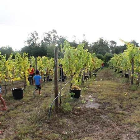 Organic Farm Boucos *